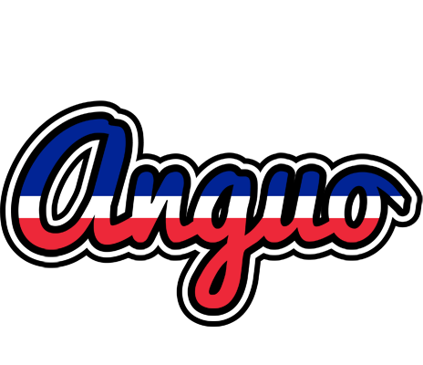 Anguo france logo