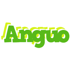 Anguo picnic logo