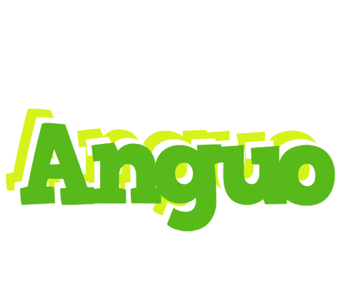 Anguo picnic logo