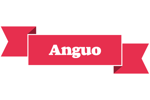 Anguo sale logo