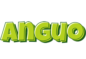 Anguo summer logo