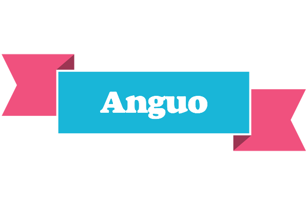 Anguo today logo