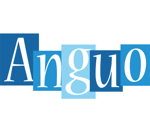 Anguo winter logo
