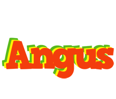 Angus bbq logo