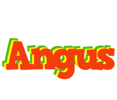 Angus bbq logo