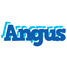 Angus business logo