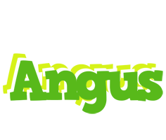 Angus picnic logo