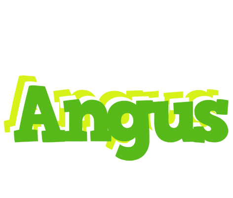 Angus picnic logo