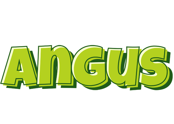 Angus summer logo