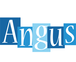 Angus winter logo