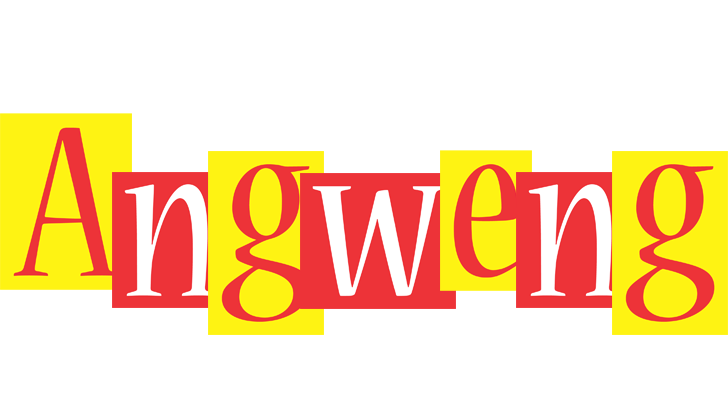 Angweng errors logo