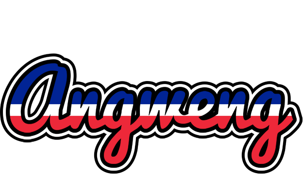 Angweng france logo