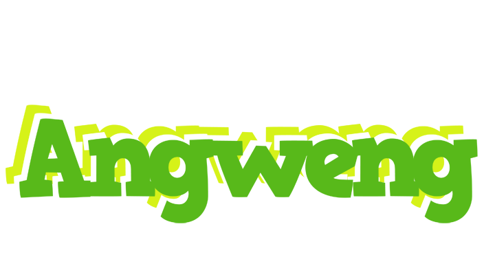 Angweng picnic logo