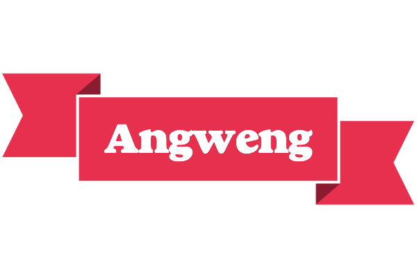Angweng sale logo