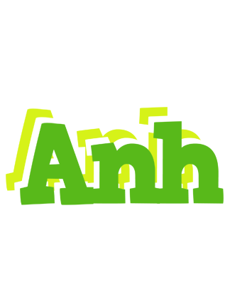 Anh picnic logo