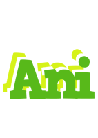 Ani picnic logo