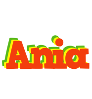 Ania bbq logo