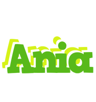 Ania picnic logo