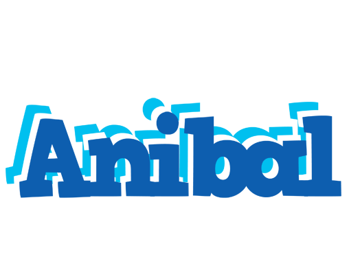 Anibal business logo