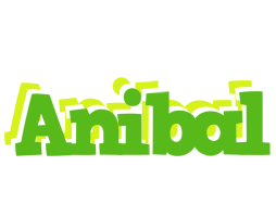 Anibal picnic logo