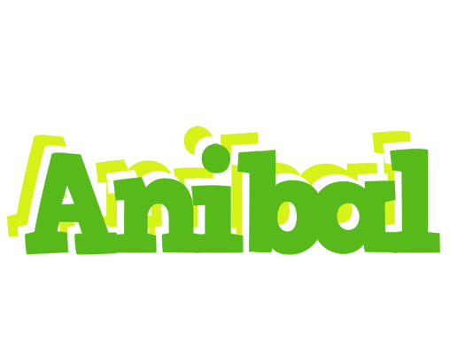 Anibal picnic logo