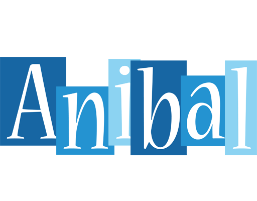Anibal winter logo