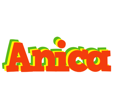 Anica bbq logo