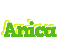 Anica picnic logo