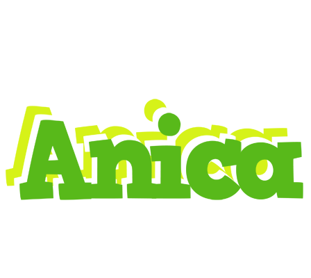 Anica picnic logo