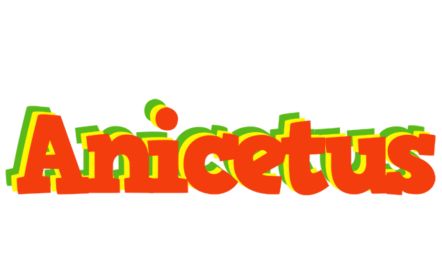 Anicetus bbq logo