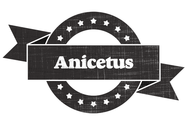 Anicetus grunge logo