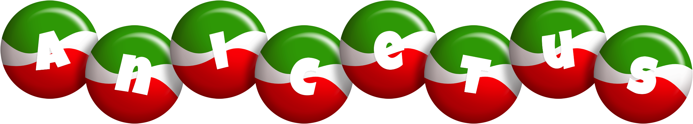 Anicetus italy logo
