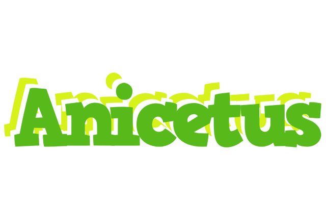 Anicetus picnic logo