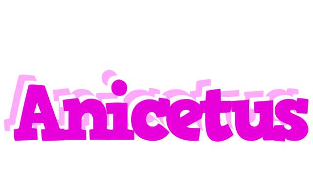 Anicetus rumba logo
