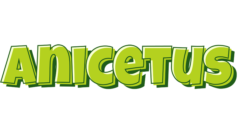 Anicetus summer logo