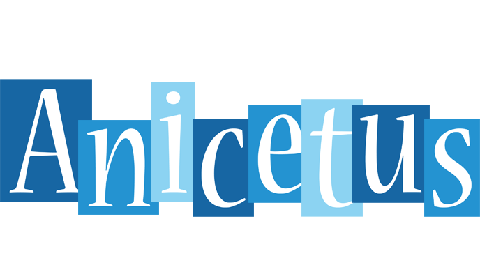 Anicetus winter logo