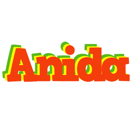 Anida bbq logo