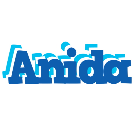 Anida business logo