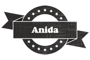 Anida grunge logo