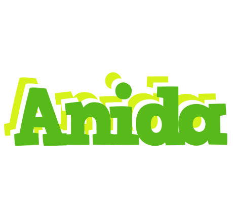 Anida picnic logo