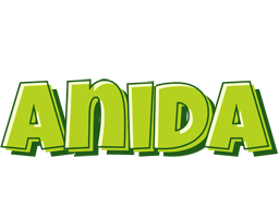 Anida summer logo