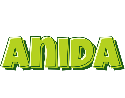 Anida summer logo