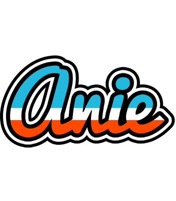 Anie america logo