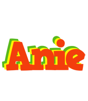 Anie bbq logo