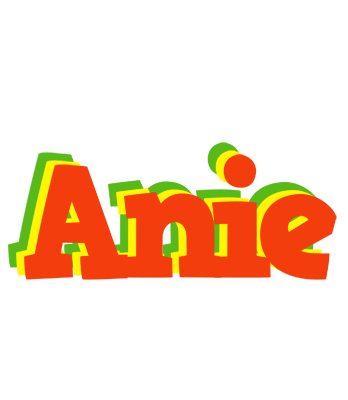 Anie bbq logo