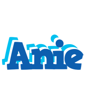 Anie business logo