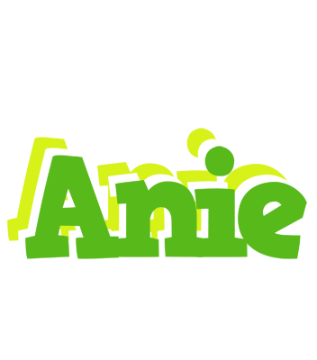 Anie picnic logo
