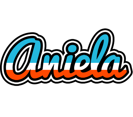 Aniela america logo