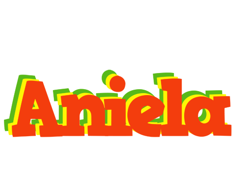 Aniela bbq logo