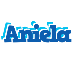 Aniela business logo